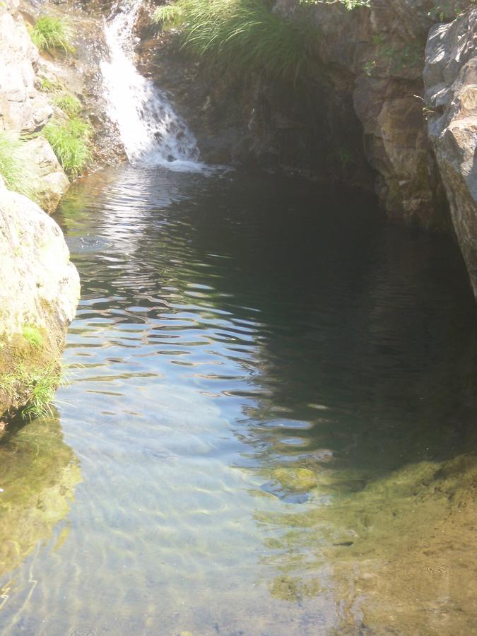Pensao Estrela Hotel Unhais Da Serra Bagian luar foto